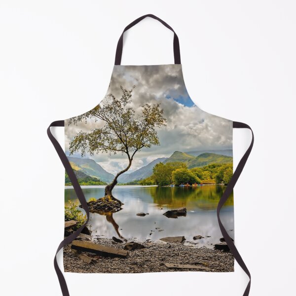 Item preview, Padarn lake Tree designed and sold by AJEvans.