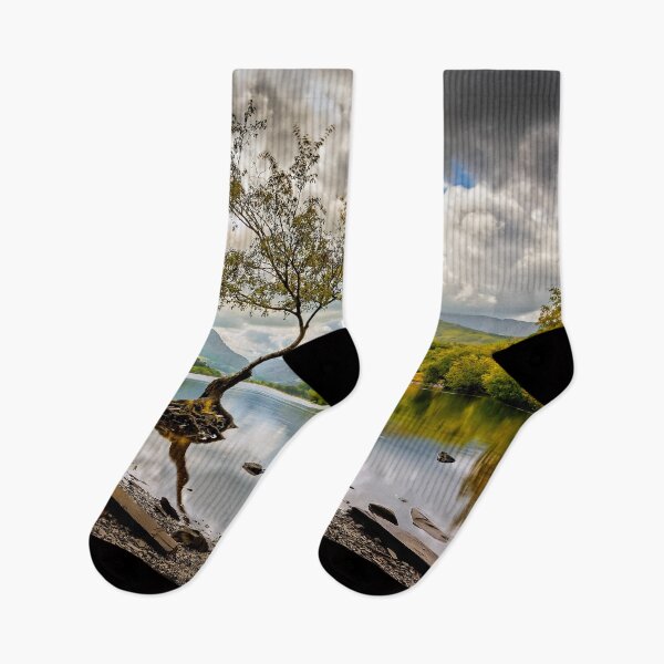 Item preview, Padarn lake Tree  designed and sold by AJEvans.