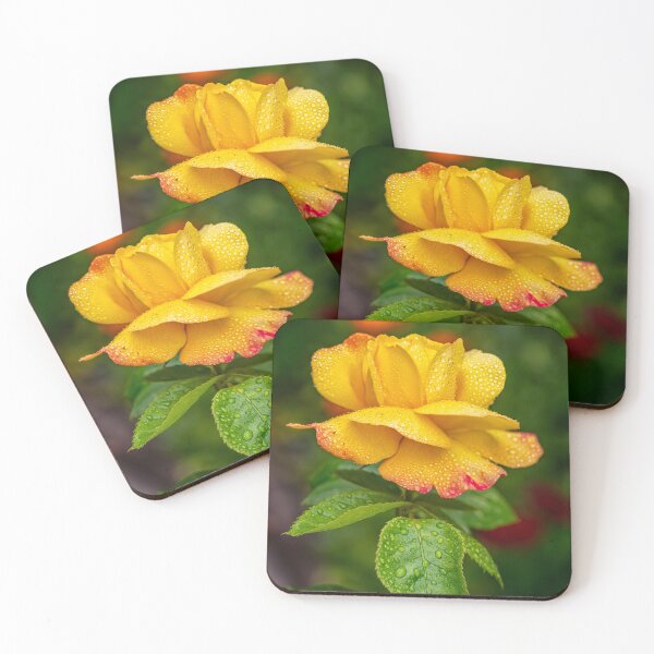 Item preview, Garden Rose designed and sold by AJEvans.