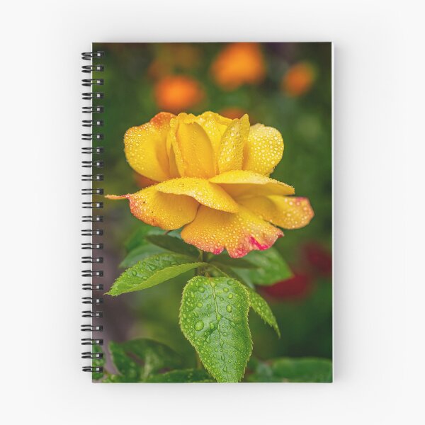 Item preview, Garden Rose designed and sold by AJEvans.