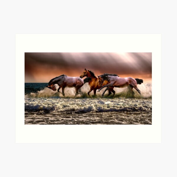 Wild horses on the river Art Print