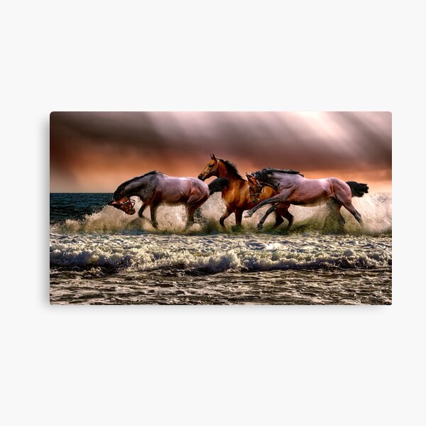 Wild horses on the river Canvas Print