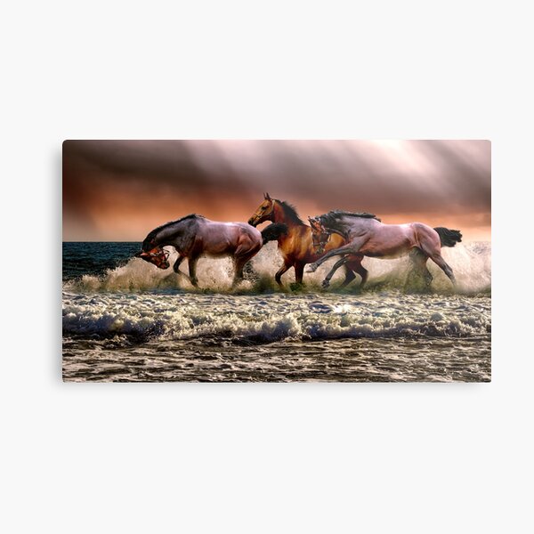 Wild horses on the river Metal Print