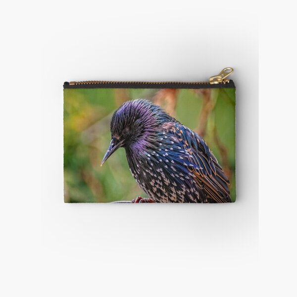 Item preview, European Starling designed and sold by AJEvans.