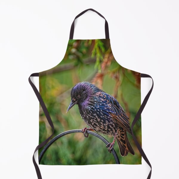 Item preview, European Starling designed and sold by AJEvans.