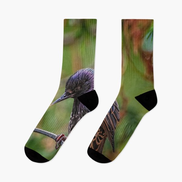 Item preview, European Starling designed and sold by AJEvans.