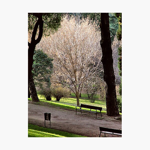 Item preview, Urban park. Parque del Oeste, Madrid designed and sold by Luis J. de la Fuente.