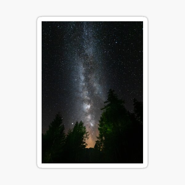Milky way above spruce forest Sticker
