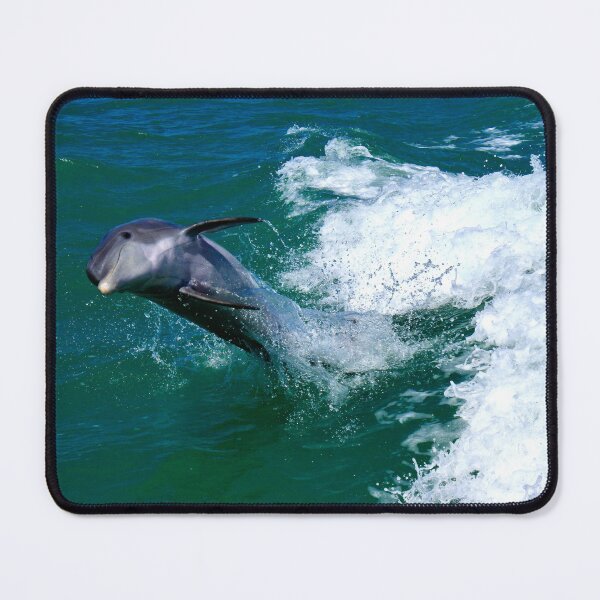 Item preview, Dolphin Playing and Performing designed and sold by Patti Melfi.