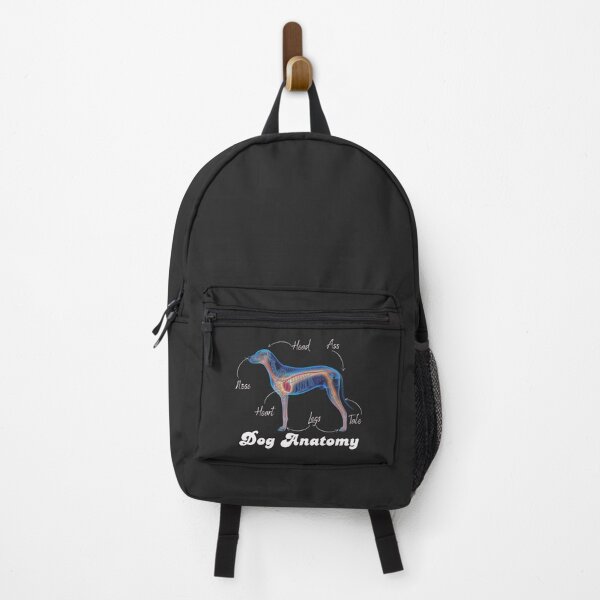 Item preview, Animal anatomy designed and sold by dom-sien-sh.
