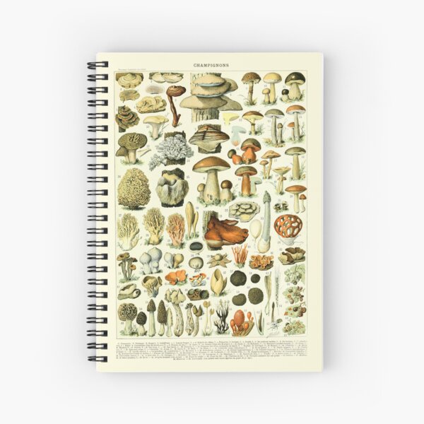 Item preview, Vintage Mushrooms poster Larousse Print Adolphe Millot designed and sold by Sintija BILIKA.