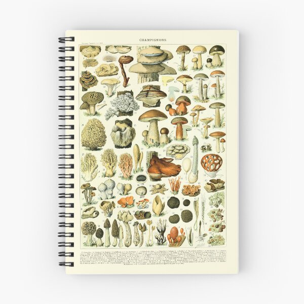 Item preview, Vintage Mushrooms poster Larousse Print Adolphe Millot designed and sold by Sintija BILIKA.