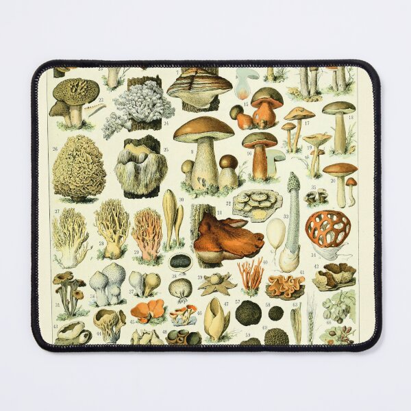 Item preview, Vintage Mushrooms poster Larousse Print Adolphe Millot designed and sold by Sintija BILIKA.