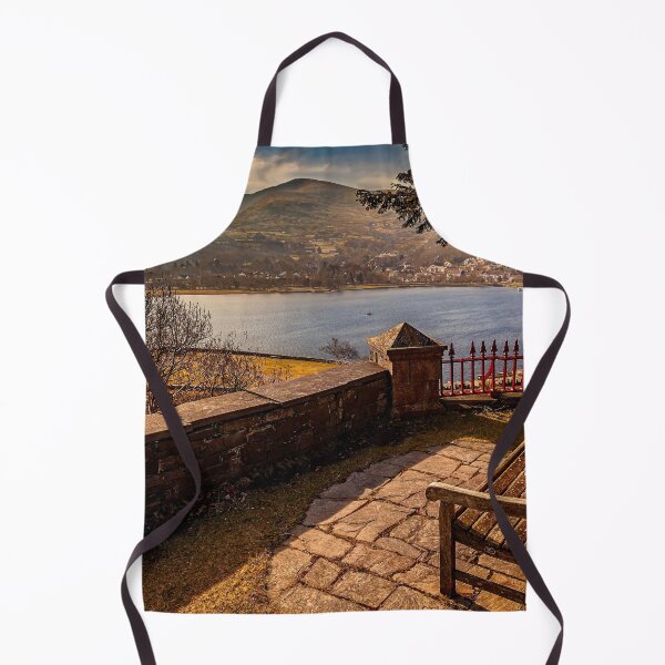 Item preview, Welsh Lake Viewpoint designed and sold by AJEvans.