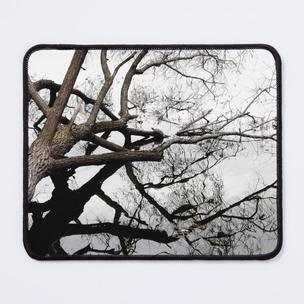 Item preview, Tree Reflection designed and sold by Shulie1.