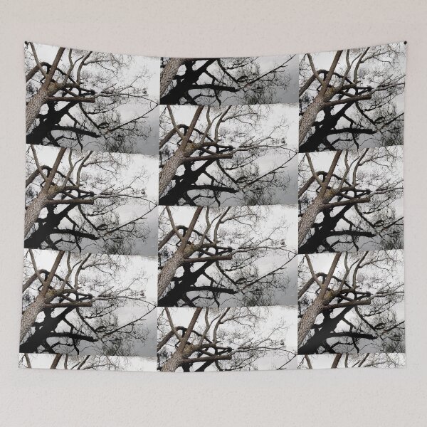 Item preview, Tree Reflection designed and sold by Shulie1.