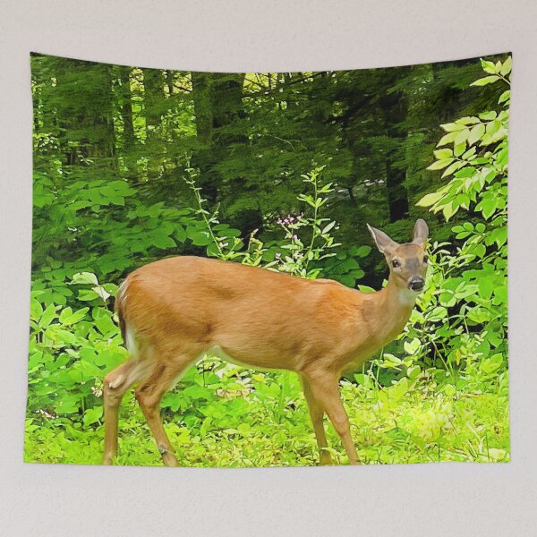 Item preview, Wild Deer in Tennessee  designed and sold by RollingRC.