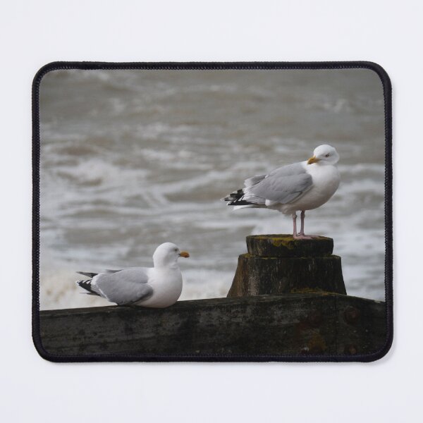Item preview, Gulls on a Groyne. designed and sold by GingerMan2550.