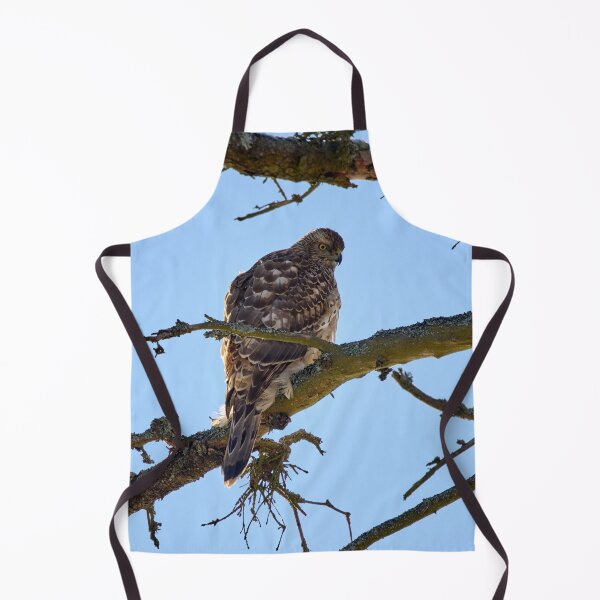 Item preview, Young and hungry. Eurasian goshawk designed and sold by Jouko Lehto Photography.