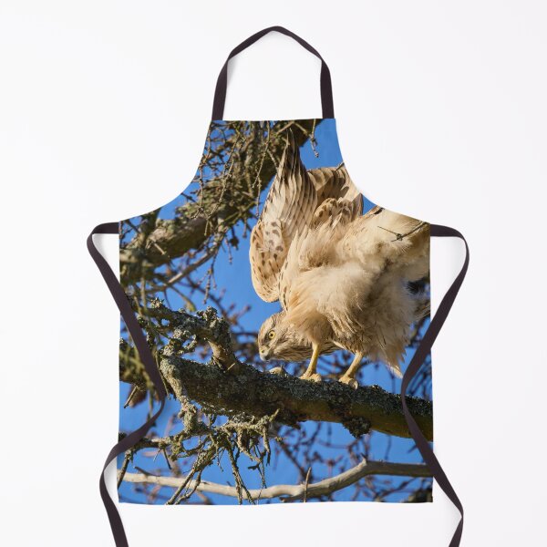 Item preview, Search of balance. Eurasian goshawk designed and sold by Jouko Lehto Photography.