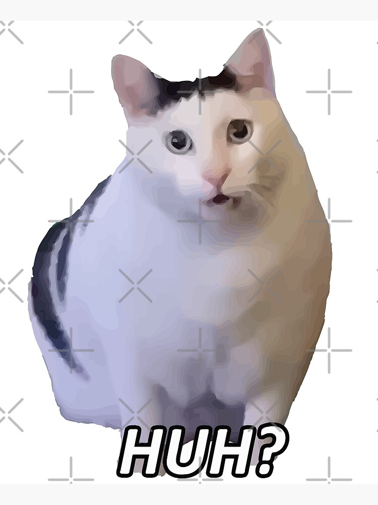 “Huh Cat Meme Funny” Art Print for Sale by IcePools | Redbubble