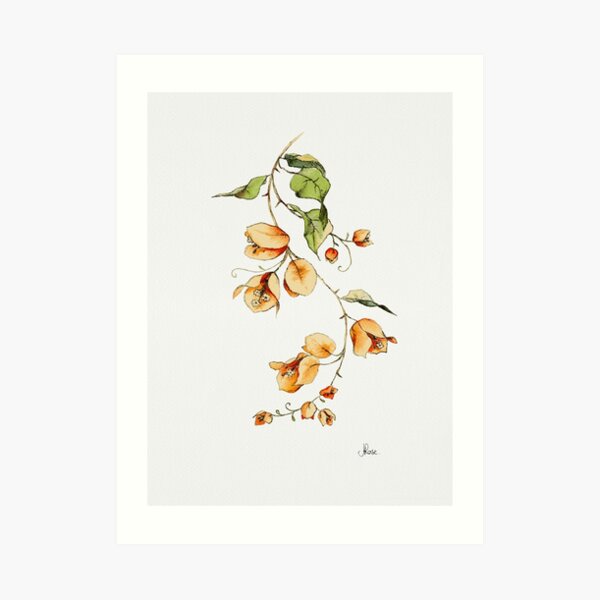 Sunset Vibes Bougainvillea Art Print