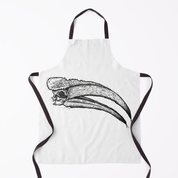 Item preview, Toucan Skull designed and sold by Isralj.
