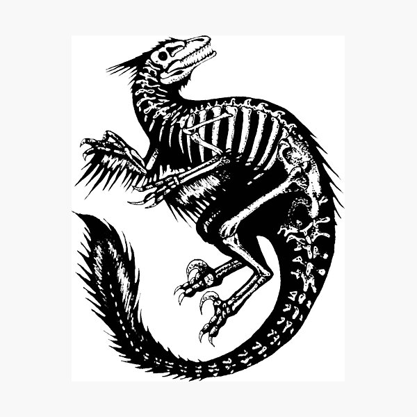 Dinosaur Fossil Tattoo | TikTok