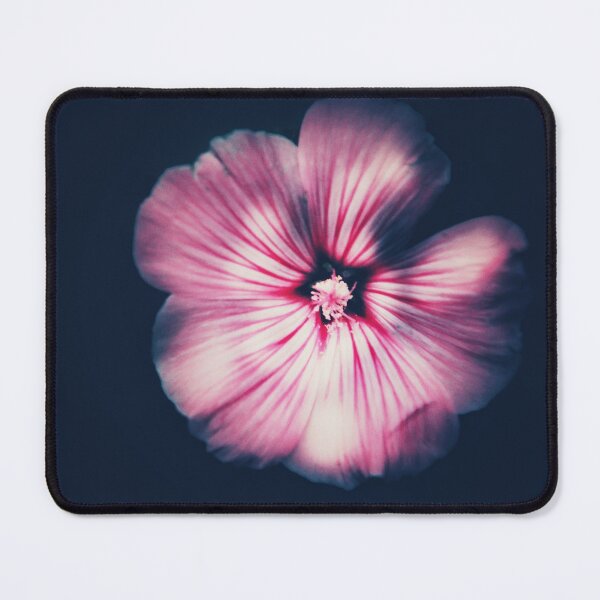 Item preview, Pink flower-Dark mood photography by Kat.Art2023 designed and sold by KatArt2023.