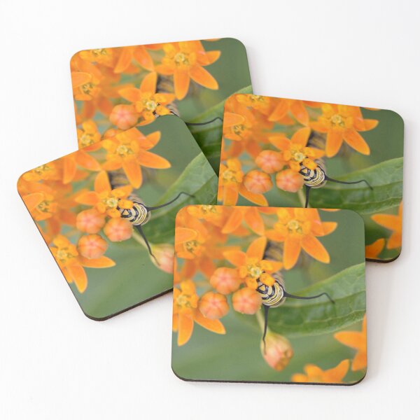 Item preview, Monarch Caterpillar  designed and sold by sarahjeanphoto.