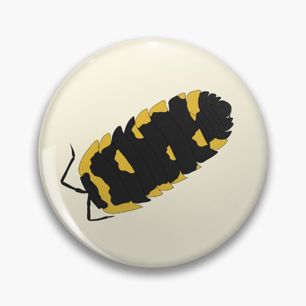 Aperçu de l'œuvre Merulanella cloporte jaune créée et vendue par Lilis-isopods.