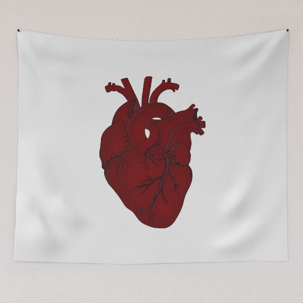 Item preview, Anatomical Heart Illustration designed and sold by lavavamp.