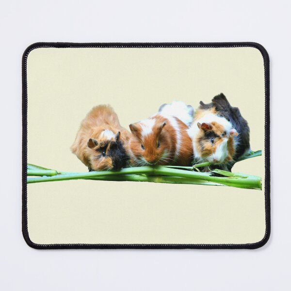 Item preview, Guinea pigs friends having lunch designed and sold by khumpa.