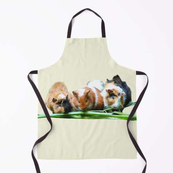 Item preview, Guinea pigs friends having lunch designed and sold by khumpa.