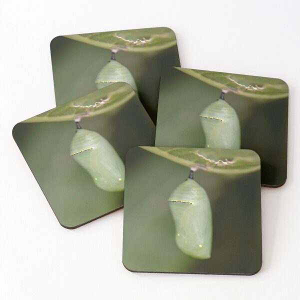 Item preview, Green Monarch Chrysalis designed and sold by sarahjeanphoto.