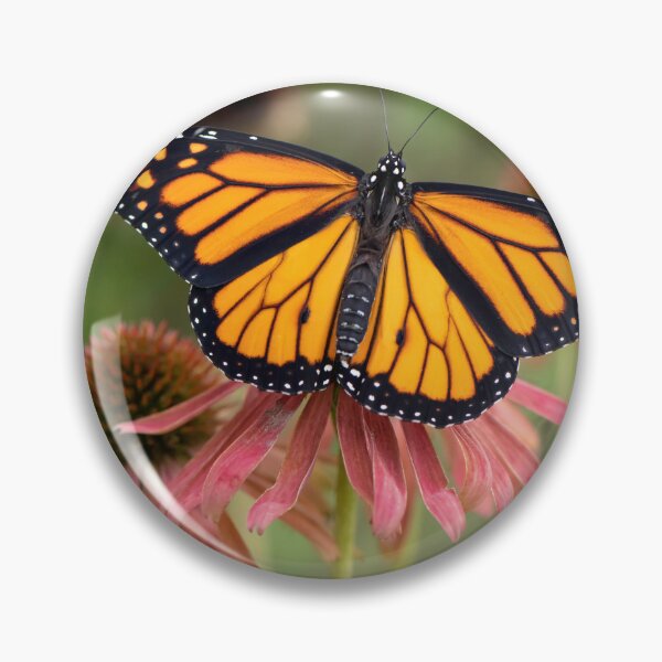 Item preview, monarch butterfly in pink coneflowers designed and sold by sarahjeanphoto.
