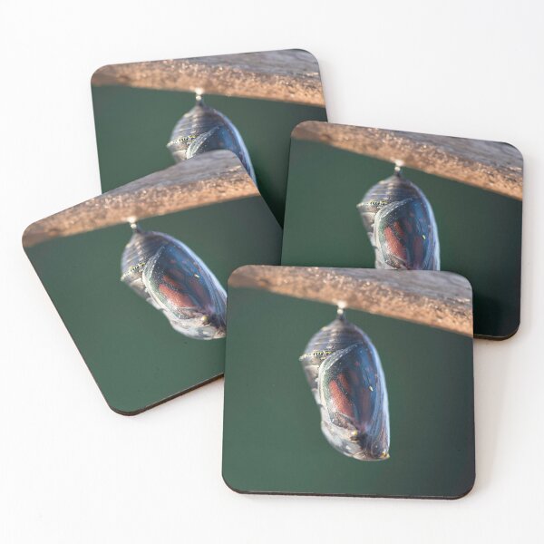 Item preview, monarch chrysalis designed and sold by sarahjeanphoto.