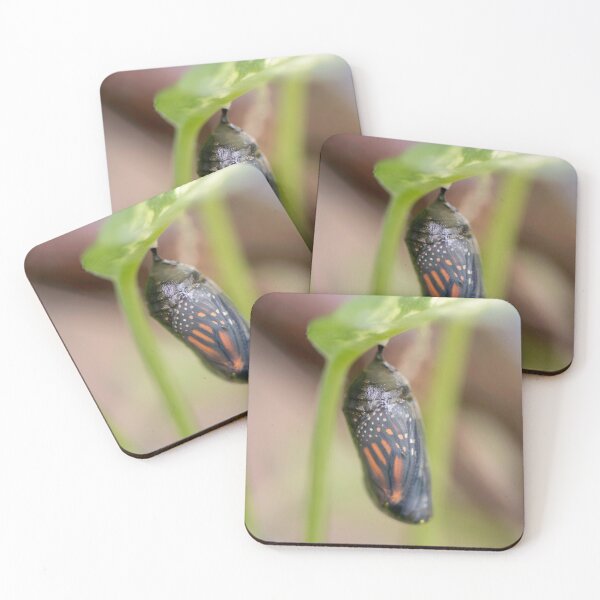 Item preview, Monarch Chrysalis designed and sold by sarahjeanphoto.
