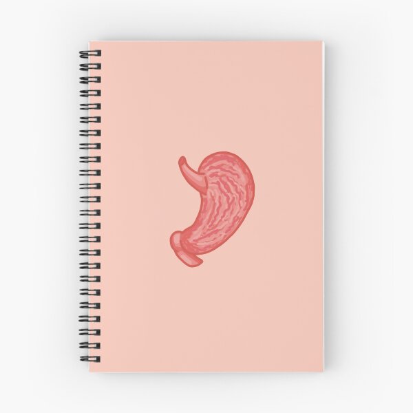 Item preview, Stomach human anatomy biology designed and sold by Teona Seabrook.