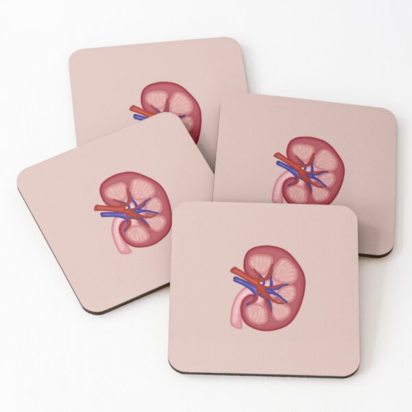 Item preview, Kidney human anatomy biology designed and sold by Teona Seabrook.