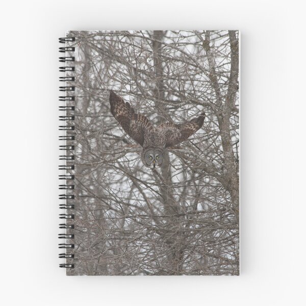 Item preview, Great grey owl day designed and sold by locustgirl.