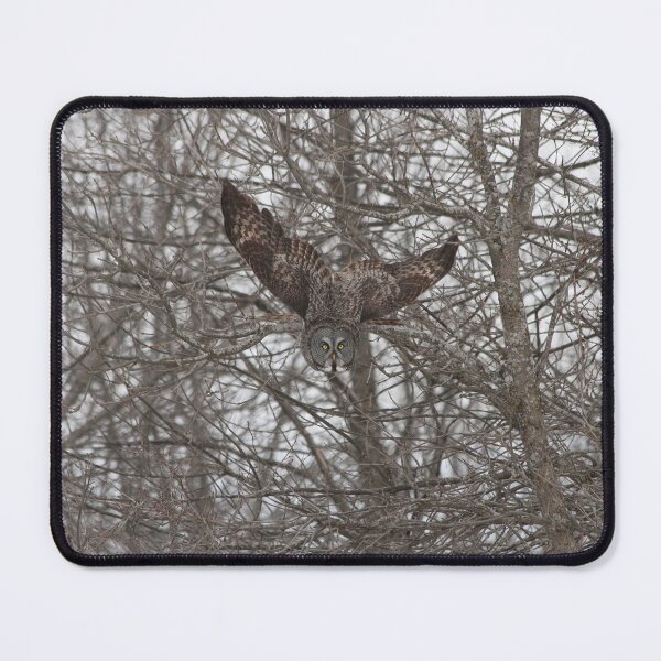 Item preview, Great grey owl day designed and sold by locustgirl.