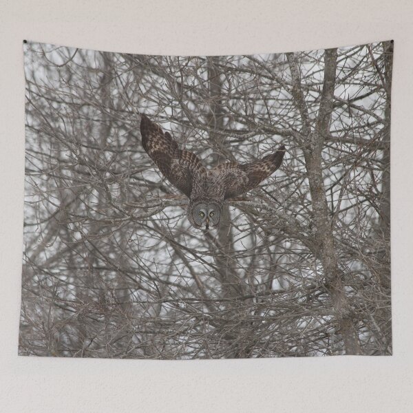 Item preview, Great grey owl day designed and sold by locustgirl.