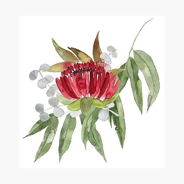 Item preview, Australian Native Bush Watercolour designed and sold by madirosedesigns.