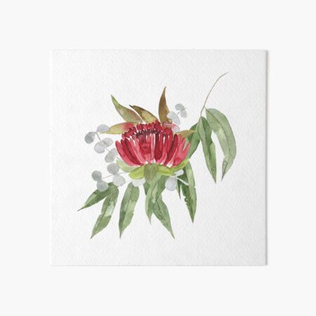 Item preview, Australian Native Bush Watercolour designed and sold by madirosedesigns.