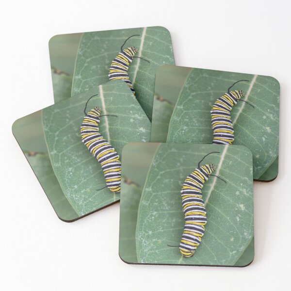 Item preview, monarch caterpillar  designed and sold by sarahjeanphoto.