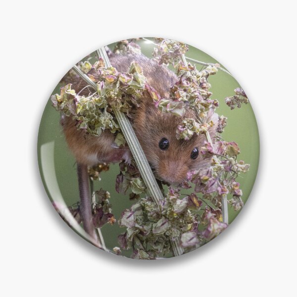 Item preview, Undercover mouse designed and sold by Anthony Brewer.