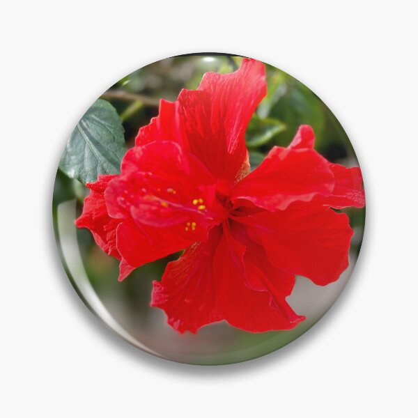 Item preview, Hibiscus Star of the Garden designed and sold by KarenZuk.