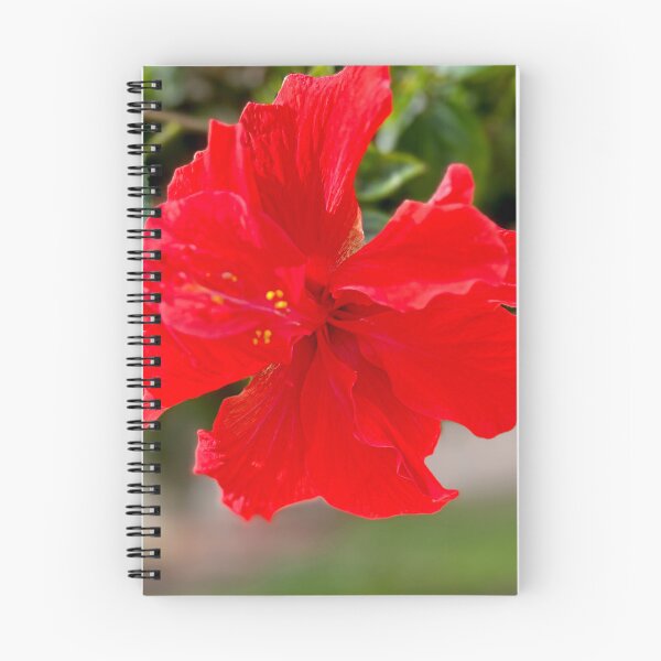 Item preview, Hibiscus Star of the Garden designed and sold by KarenZuk.