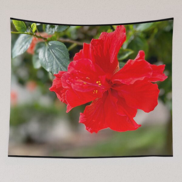 Item preview, Hibiscus Star of the Garden designed and sold by KarenZuk.